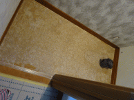 シック＆モダンのラグジュアリートイレに大変身　目黒区M様邸